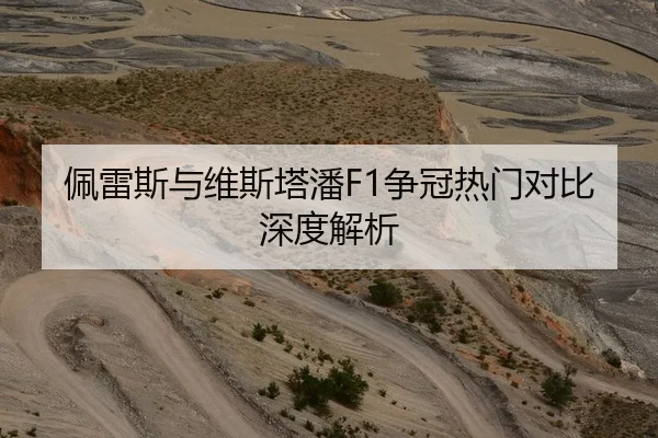 佩雷斯与维斯塔潘F1争冠热门对比深度解析