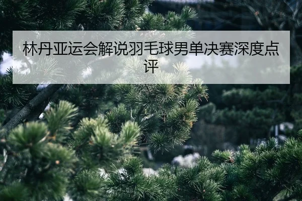 lin-dan-ya-yun-hui-jie-shuo-yu-mao-qiu-nan-dan-jue-sai-shen-du-dian-ping-2-547.jpg